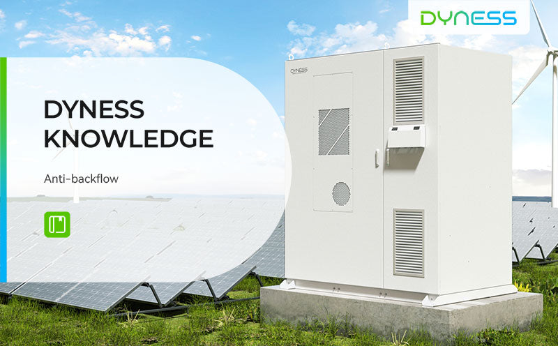 Dyness Knowledge | Anti-backflow