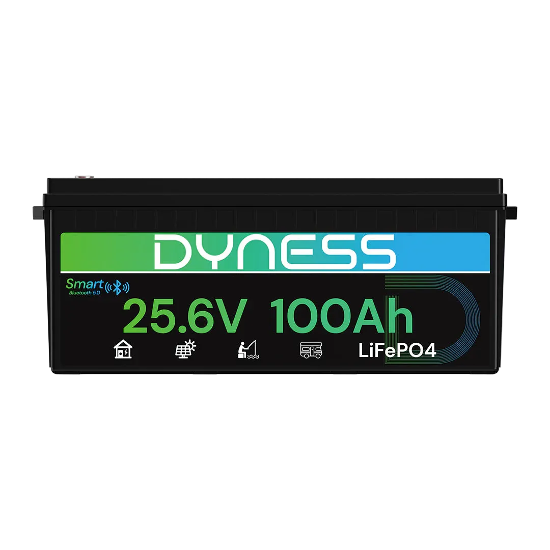 24V 100Ah LiFePO4 Battery with Bluetooth