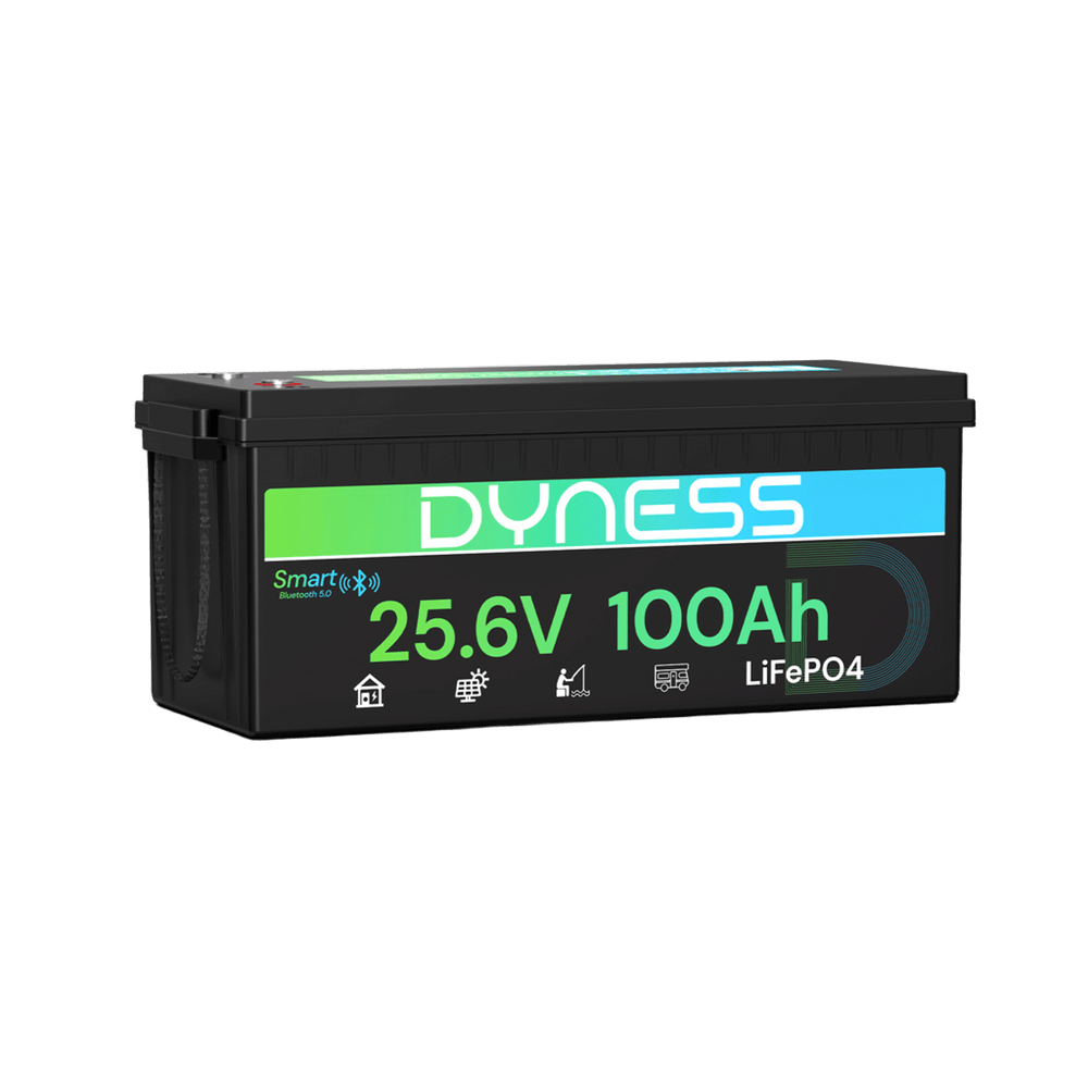24V 100Ah LiFePO4 Battery with Bluetooth