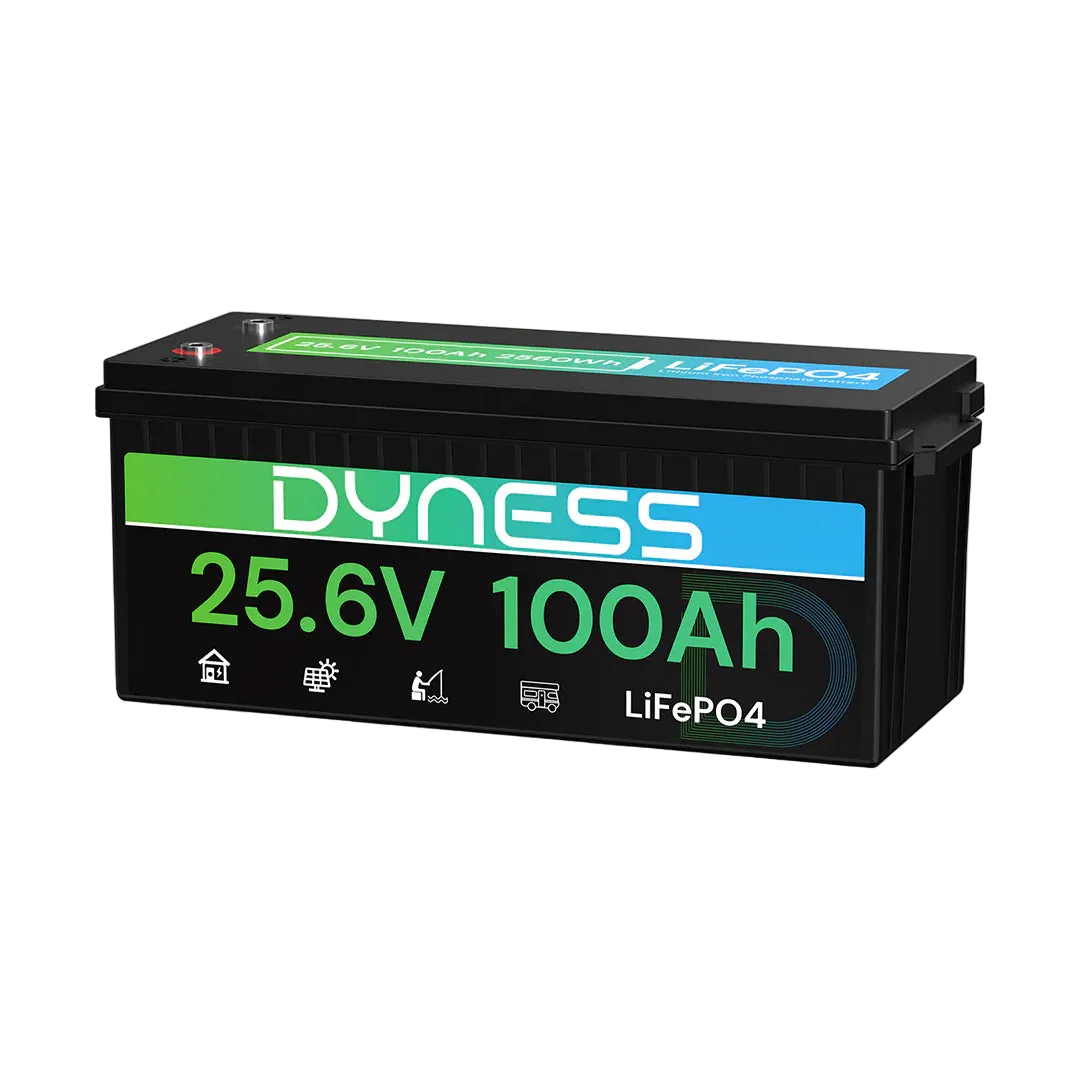 24V 100Ah LiFePO4 Battery