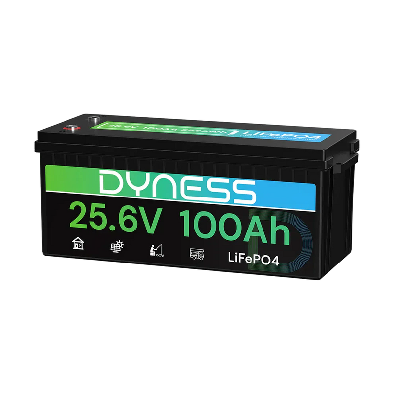 24V 100Ah LiFePO4 Battery