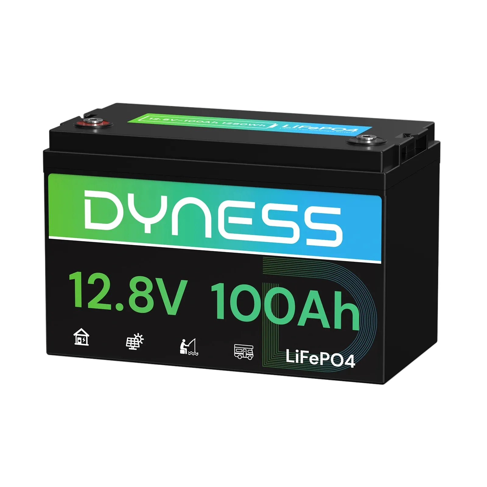 12V 100Ah LiFePO4 Battery