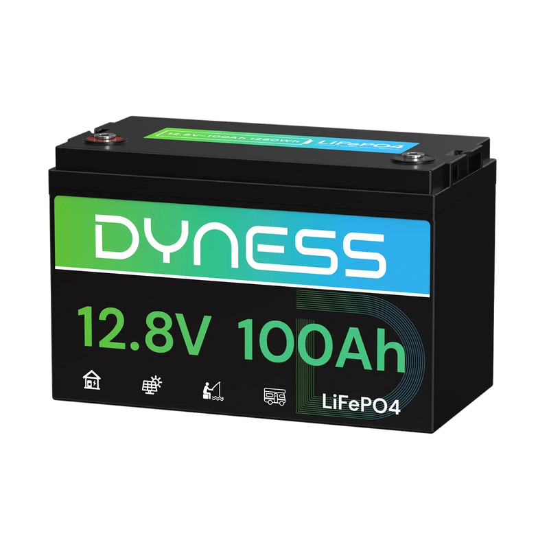 12V 100Ah LiFePO4 Battery
