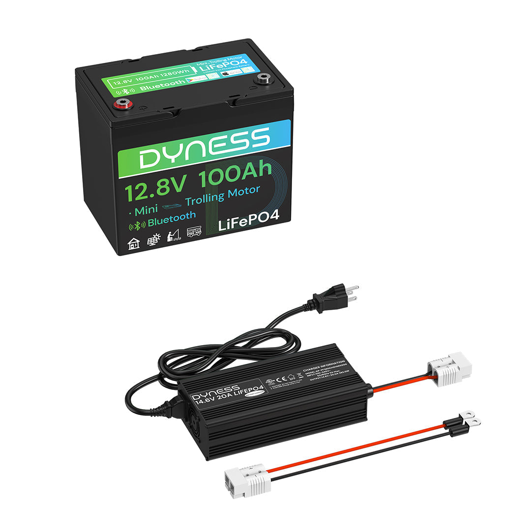 12V 100Ah Group 24 Bluetooth-Enabled LiFePO4 Deep Cycle Battery