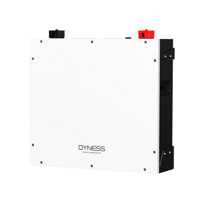 DL5.0C 51.2V LiFePO4 Home Energy Storage Battery