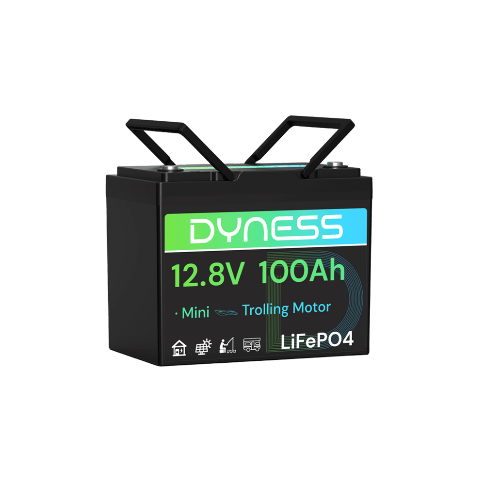 12V 100Ah Group 24 LiFePO4 Lithium Deep Cycle Battery