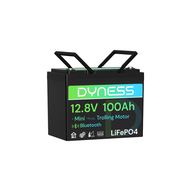 12V 100Ah Group 24 Bluetooth-Enabled LiFePO4 Deep Cycle Battery